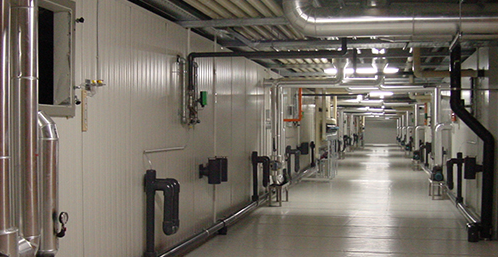 建設一個蔬菜氣調冷庫要多少錢？