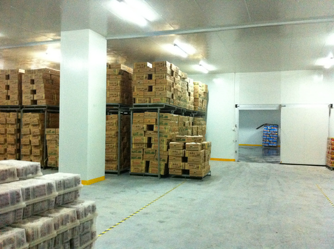 建造冷庫多少錢？影響冷庫工程造價的因素